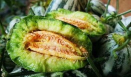 山东两位网红吃瓜视频曝光,揭秘娱乐圈惊人内幕